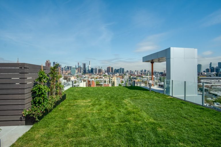 Green-Roof-1